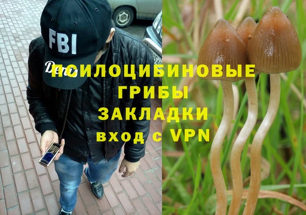 экстази Киреевск