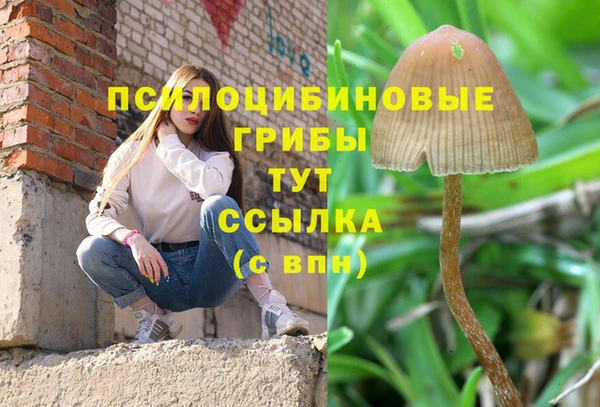 экстази Киреевск