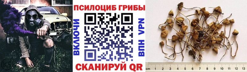 Купить где  Мелеуз  Псилоцибиновые грибы MAGIC MUSHROOMS 